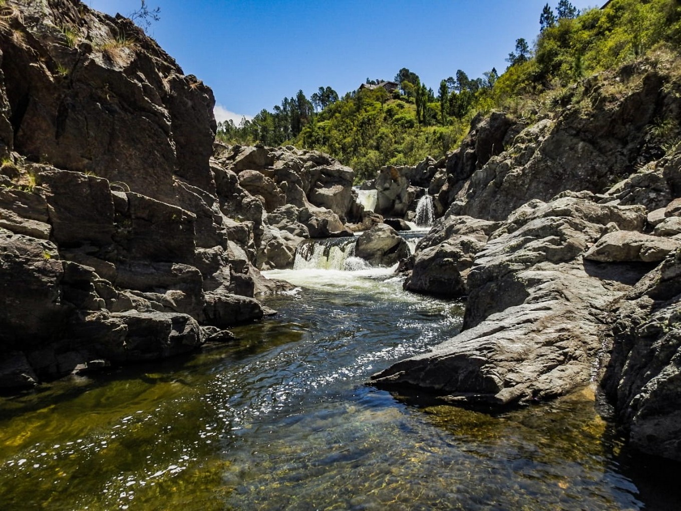 CARLOS PAZ