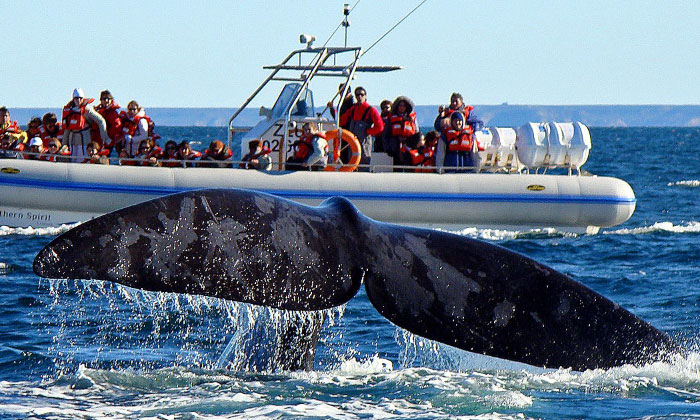 PUERTO MADRYN