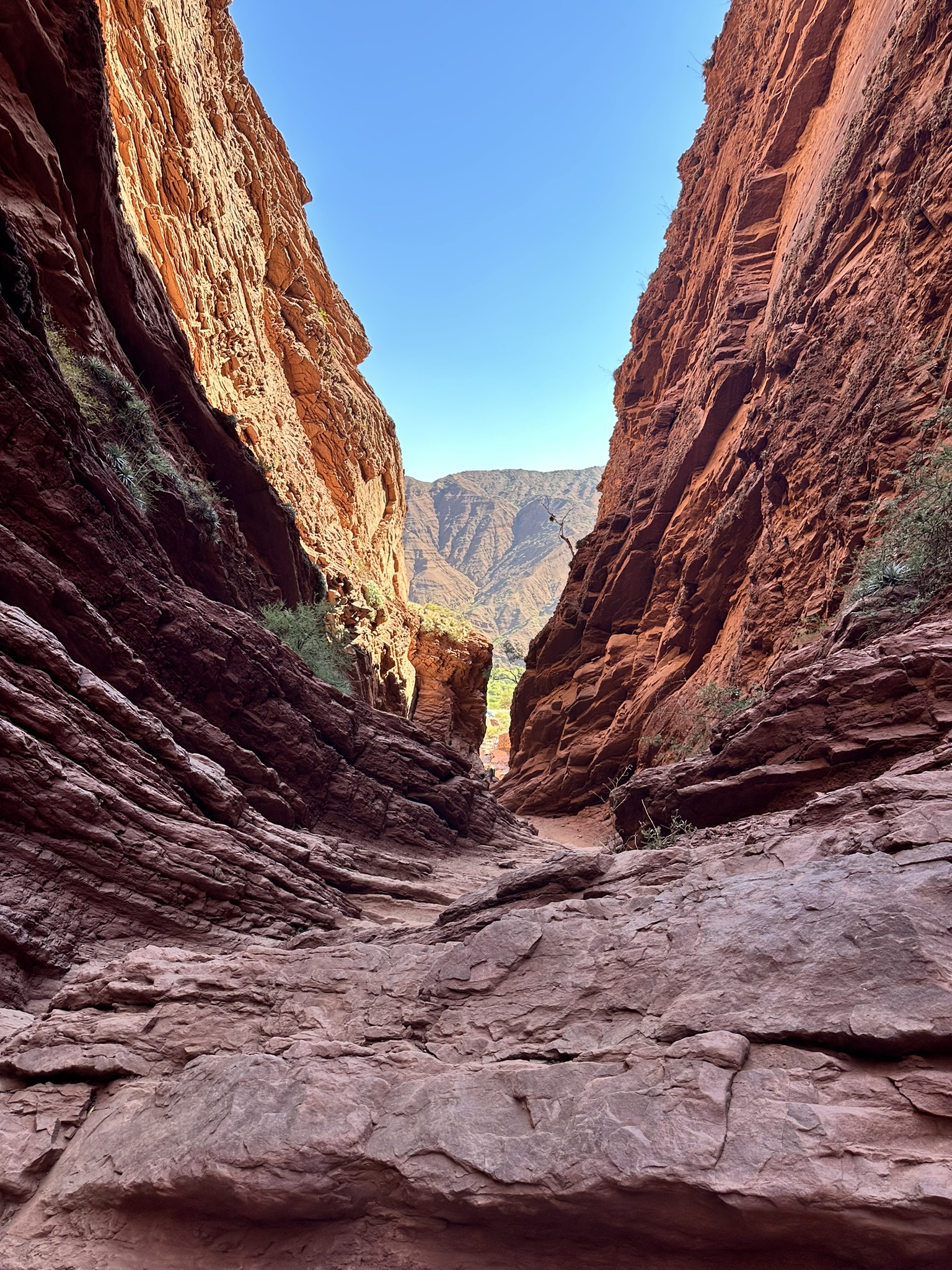 Cafayate